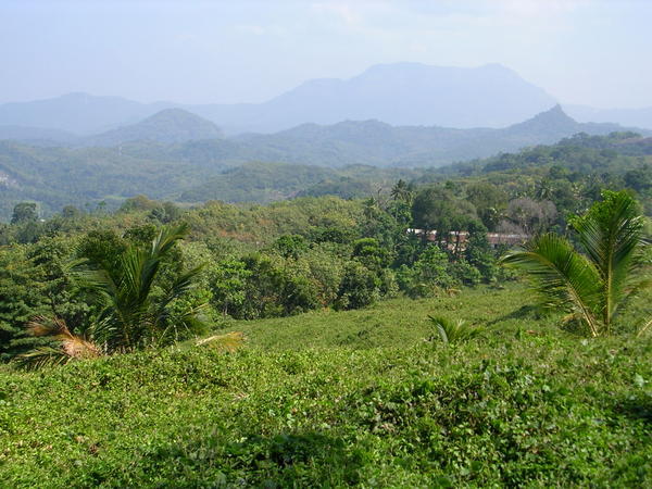 View across the hills