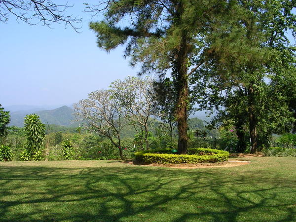Bungalow back garden view