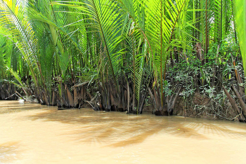 Mekong Delta (My Tho)