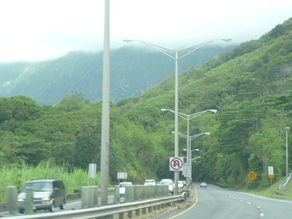 Hawaiian Freeway