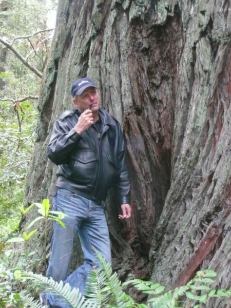 Redwood Forest April 2009 074