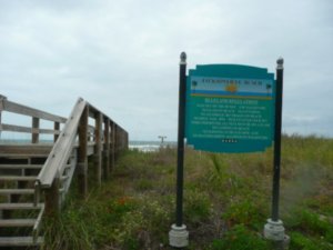 Jacksonville Beach Access
