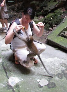 Feeding a Macaque Monkey inside the Batu Caves