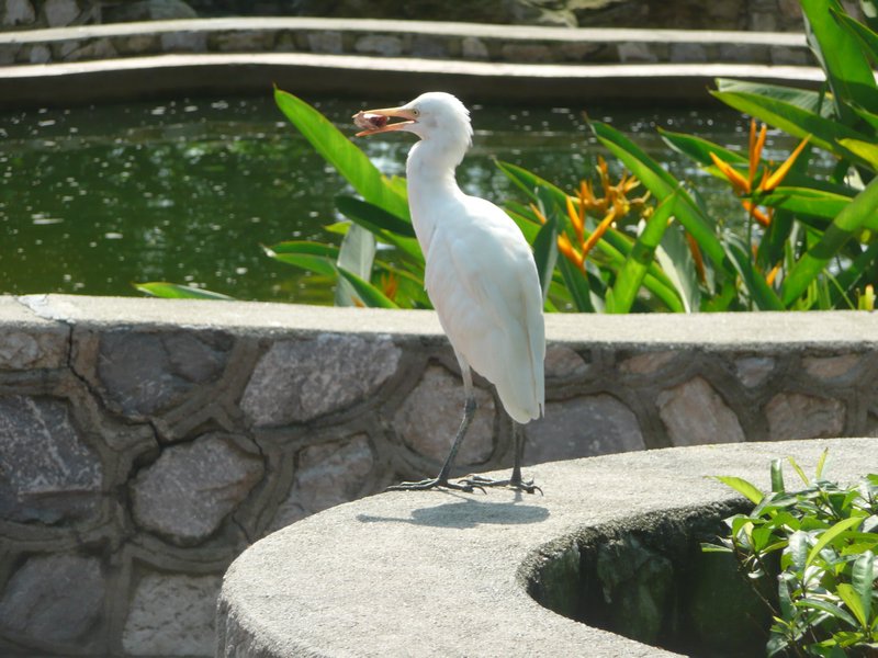 Bird Park