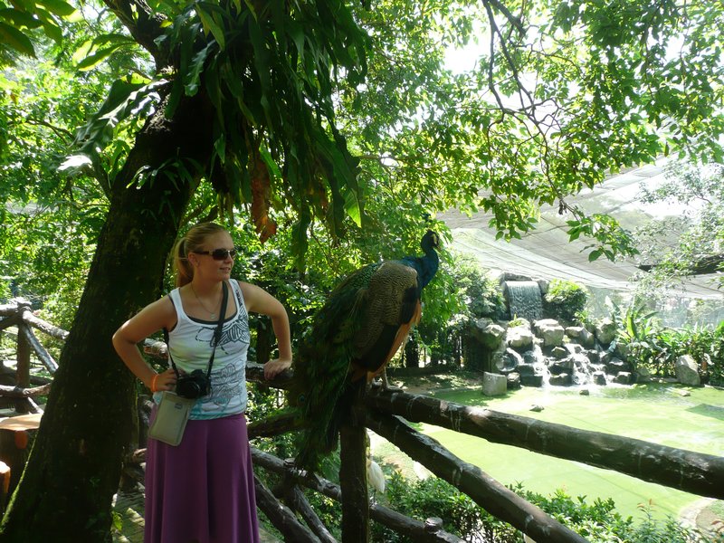MaryAnne with a Peacock