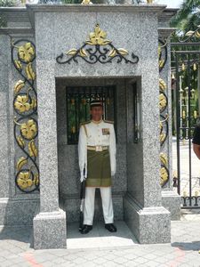 Guard at the Royal Palace