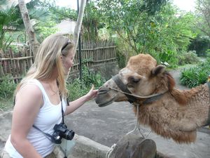 MaryAnne with a camel