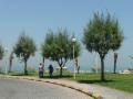 Umm an Nasan Island, Bahrain.
