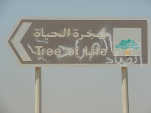 Tree of Life graffiti filled sign
