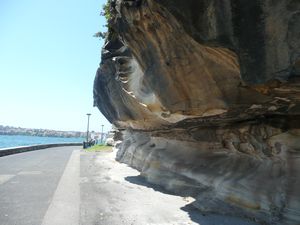 Sandstone overhang along Mrs. Macquaries Road