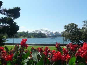 Sydney Harbour Bridge and the Sydney Opera House from the Royal Botanic Gardens