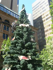 The City of Sydney Christmas Tree