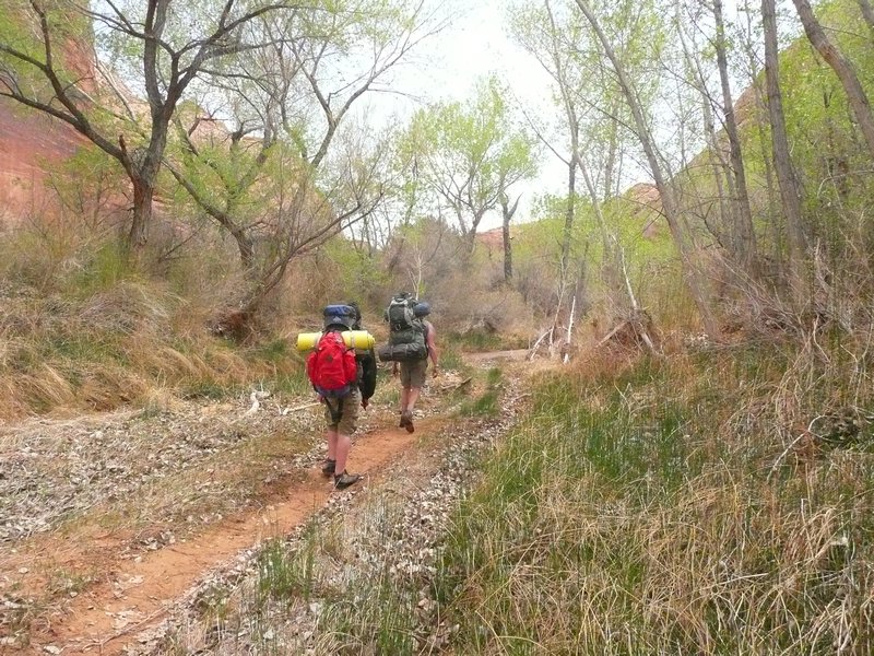 Hiking at Coyote Gulch
