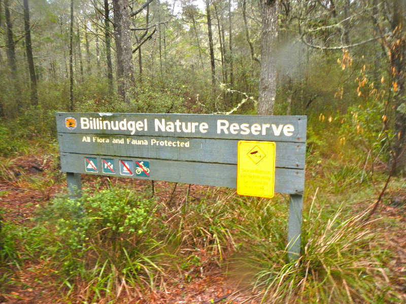 Billinudgel Nature Reserve