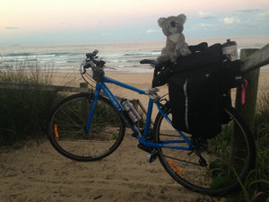 The Bike and Koala at Coffs Harbour