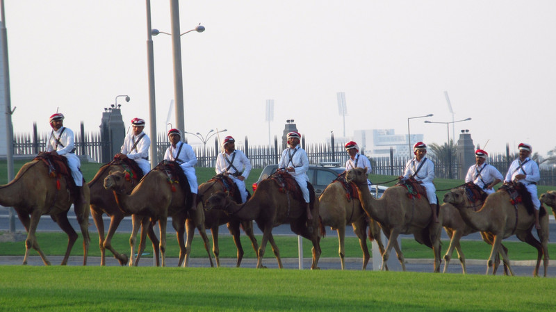 Camel Guards