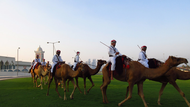 Camel Guards