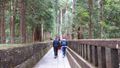 Path to the Okumiya (Inner Shrine)