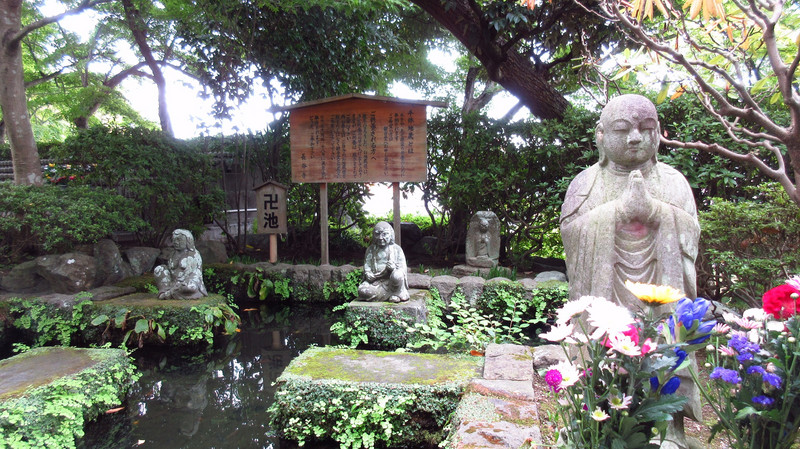 Buddhist Pond