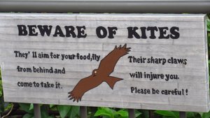 Beware of Kites