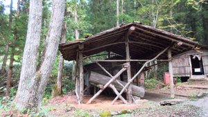 Logger's Hut