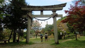 Torii (Shrine Gate)