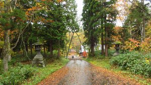 Path to the Okusha (Upper Shrine)