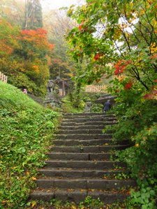 Stairs Leading to the Kuzuryû Shrine