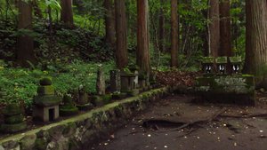 Hokora (Miniature Shrines)