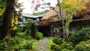 Takei Ryokan Traditional Inn