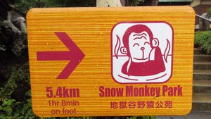 Bathing Monkeys This Way