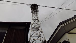 Fire Warning Tower