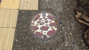 Manhole Cover in Ueda