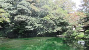 Wakutama Pond