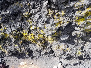 Yellow Rocks