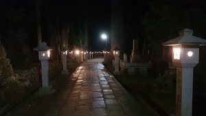 In the Cemetery at Night