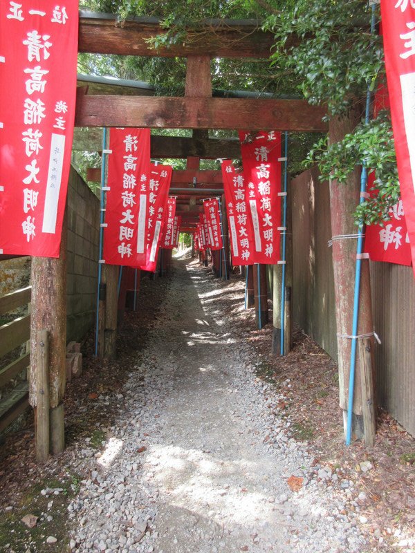 Path of Torii
