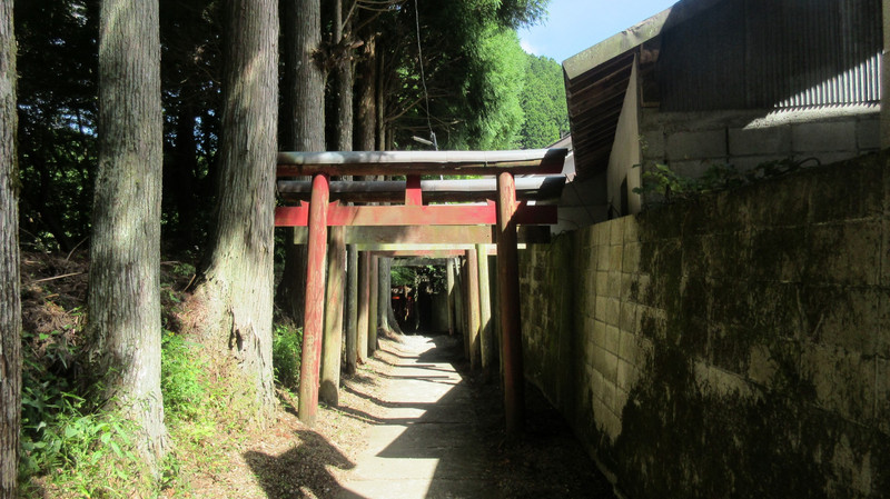 Path of Torii