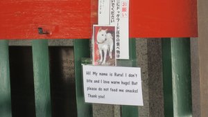 Sign about Ruru