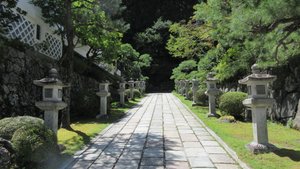 Path Lined with Stone Lanterns
