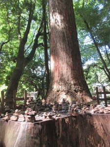 Stump of the Tree Used to Build the Chūmon (Middle Gate