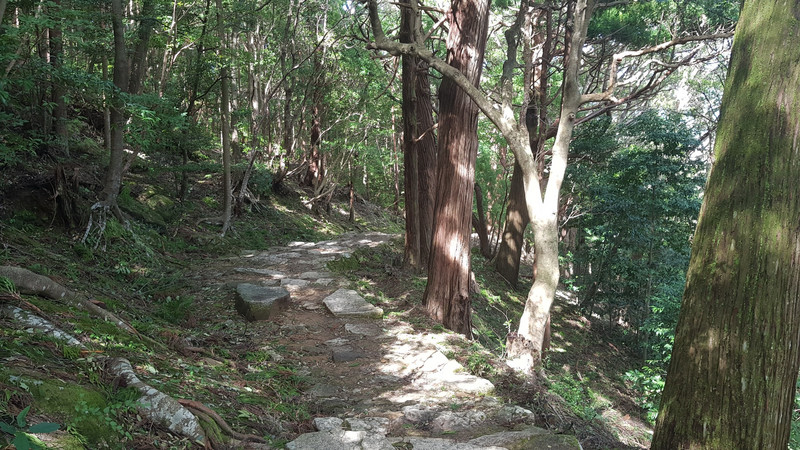 Path Leading to the Shrine