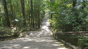 Path to the Shrine