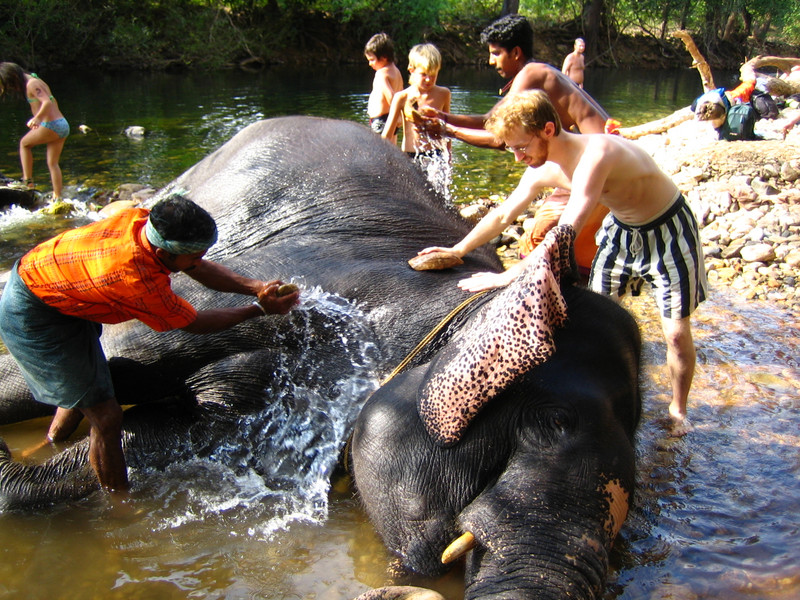 Bathing the Elephant