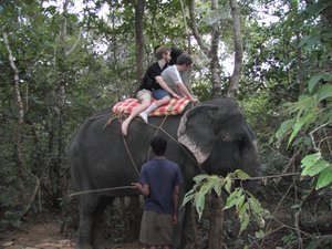 Riding an Elephant