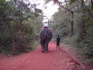 Riding an Elephant