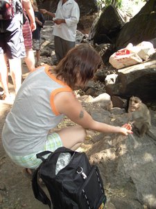 My Mother is Giving Treats to a Macaque