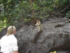 My Father and a Macaque