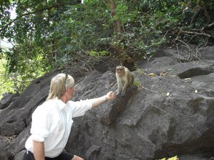 My Father is Giving Treats to a Macaque