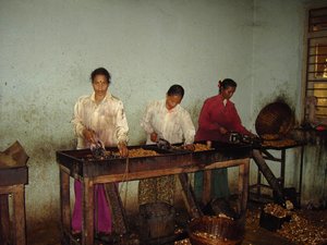 Ladies Washing the Cashew Nuts
